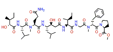 Grassystatin C